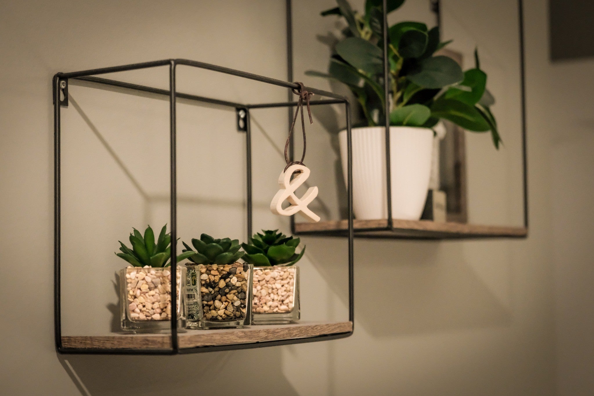 Cedar Wood Ampersand Air Fresheners